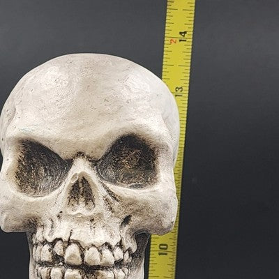 Halloween Resin Molded RIP Skeleton Grave Stone Serpent 13.5" Yard Decoration
