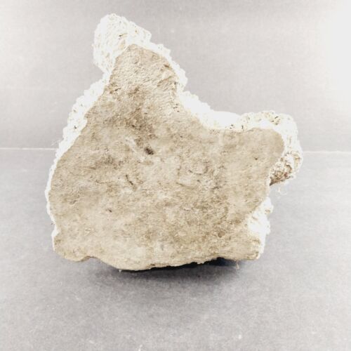 Mother and Baby Bears Wearing Hats Scarves Cuddling Concrete Sculpture 7"x7"x6"