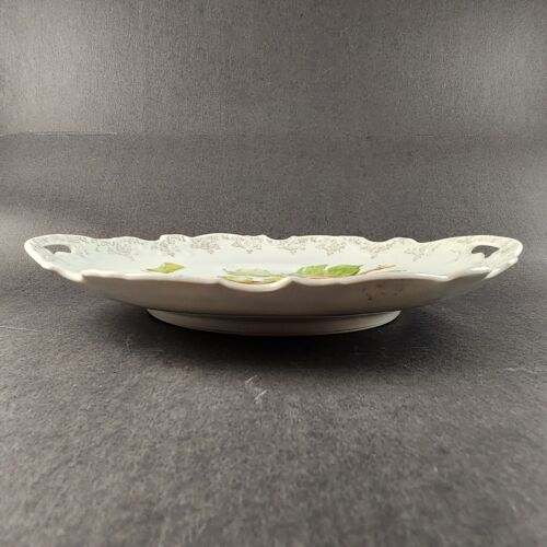 Zs Co Bavarian Porcelain Plate Apples on the Stem Gold Rim 11" Scalloped