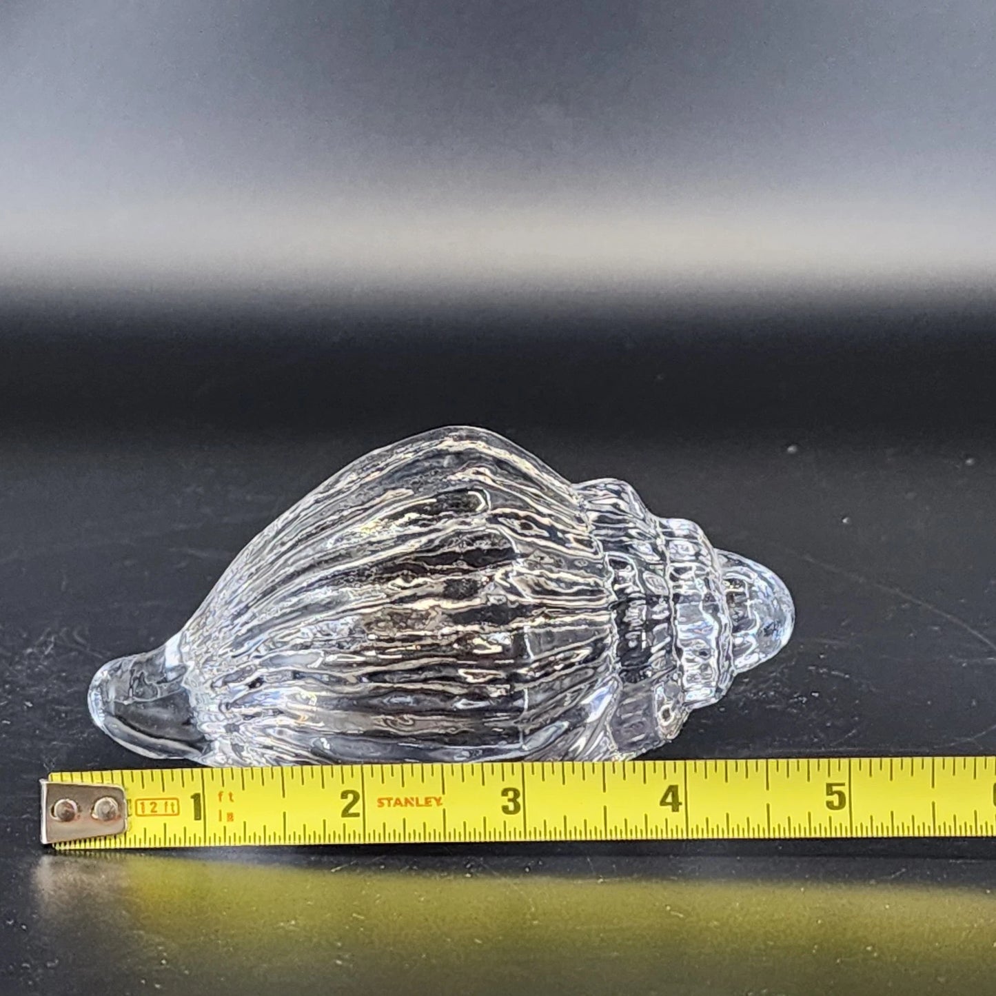 Clear Art Glass Conch Shell Paperweight Hand Blown Nautical Murano Style Decor