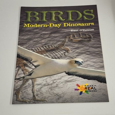 Lot of 11 Rosen Real Readers Large Poster Educational and Informative Books 20"