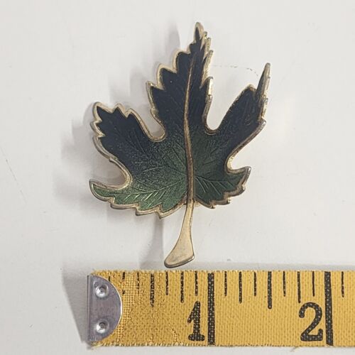 Green Enamel Maple Leaf Brooch Pin Gold Tone Rim and Backing 2" Long Vtg Jewelry