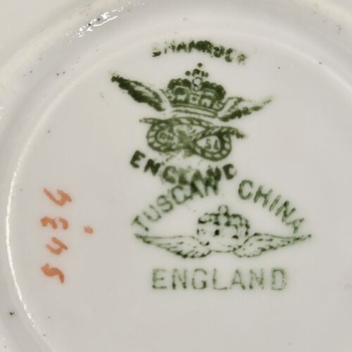 One Cup and Saucer Original Shamrock Pattern Tuscan Fine English Bone China 1907