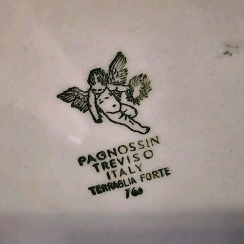 Pagnossin Treviso Italy Strong Earthenware Tea Coffee Pot Floral Green Trim 9" H