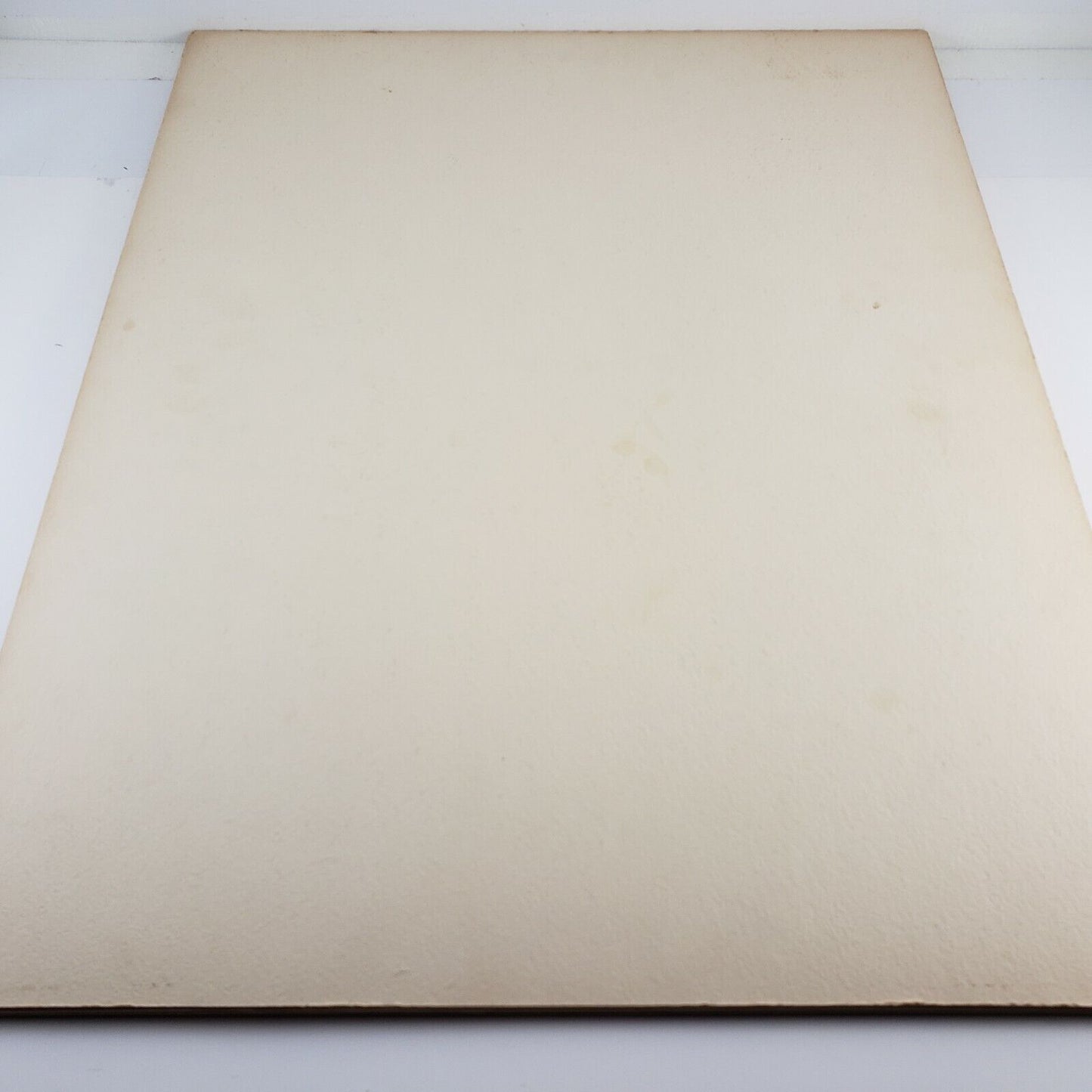 3 Portrait Photographs Each 16x20" Unframed on Poster Board Photo Contest Entry