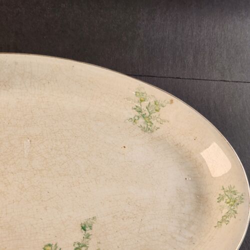 Anchor Pottery Serving Platter Trenton New Jersey JEN Green Floral 14.5" Long