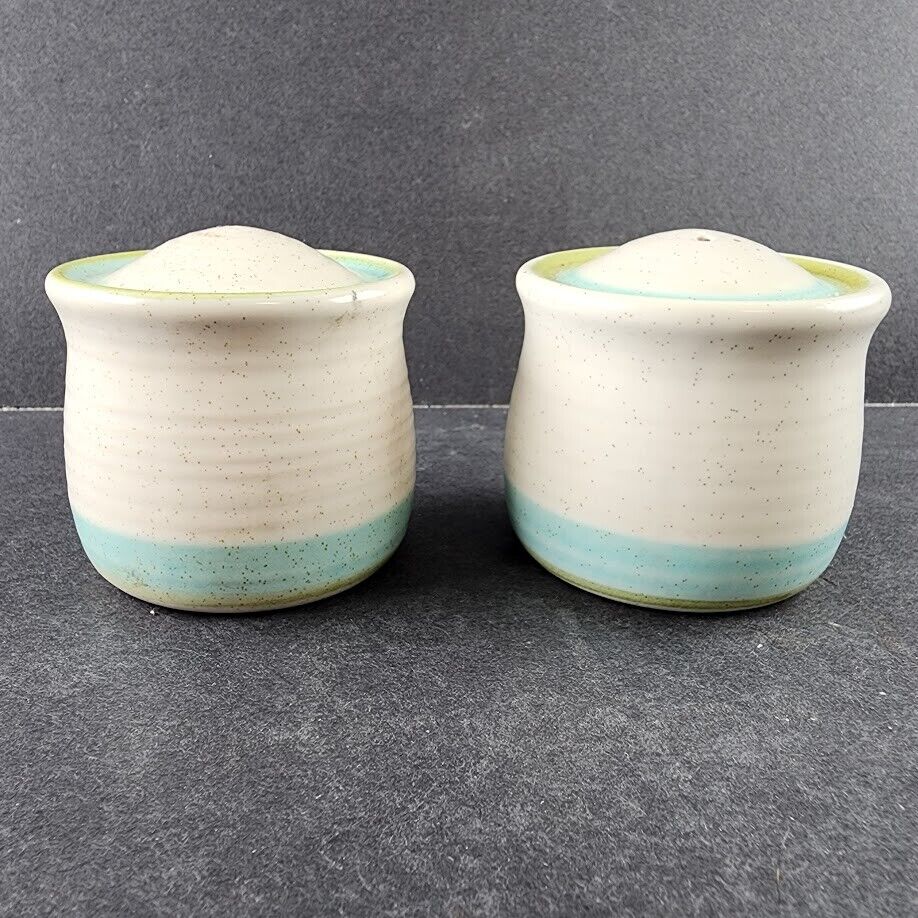 Tulip Time Earthenware China by Franciscan Blue Green Tulip Blue Green Rim