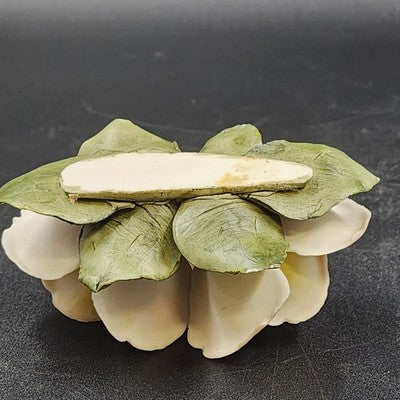 Napoleon Authentic Capodimonte Porcelain 2 Rose Flower Italy Collectible
