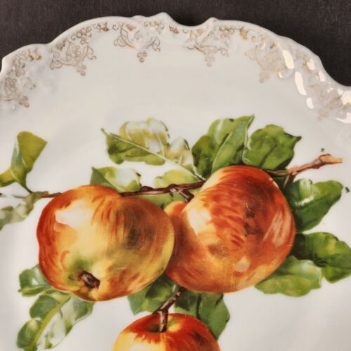Zs Co Bavarian Porcelain Plate Apples on the Stem Gold Rim 11" Scalloped