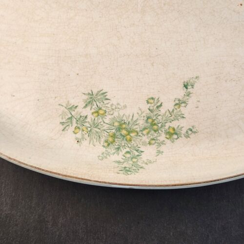 Anchor Pottery Serving Platter Trenton New Jersey JEN Green Floral 14.5" Long