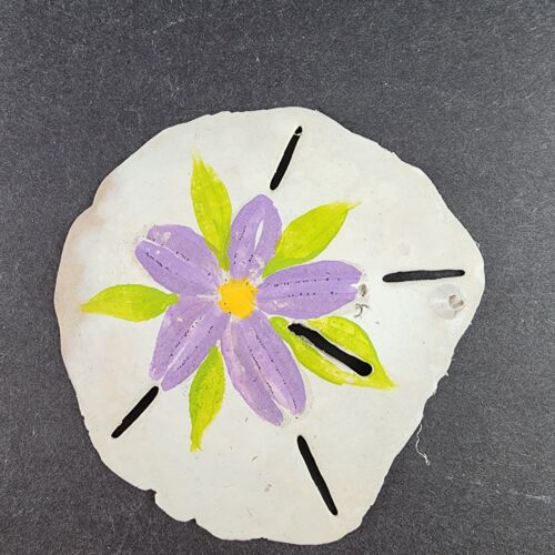 7 Hand Painted Sand Dollars Simple Flowers Sizes 3" to 4.5" Across Vintage