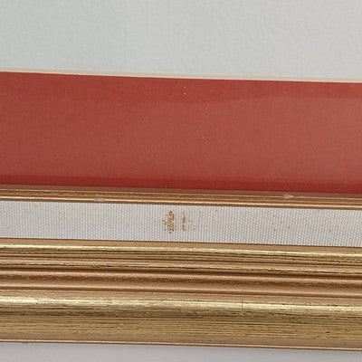 Square Gold Framed Fine Art Print Signed Red Hibiscus Spectacular Flower 19"x19"