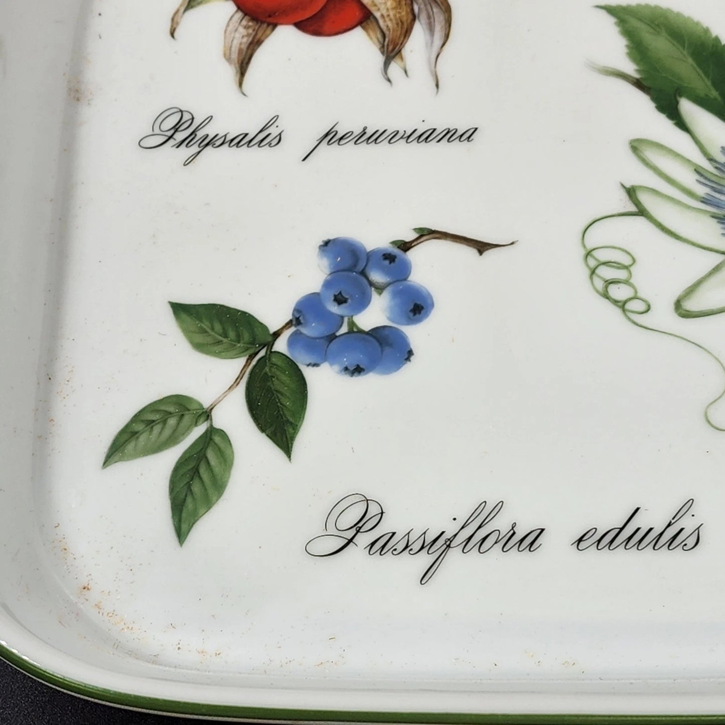 Apilco Elysian Gardens 11" Square Baker Roaster Porcelain Fruit Design France