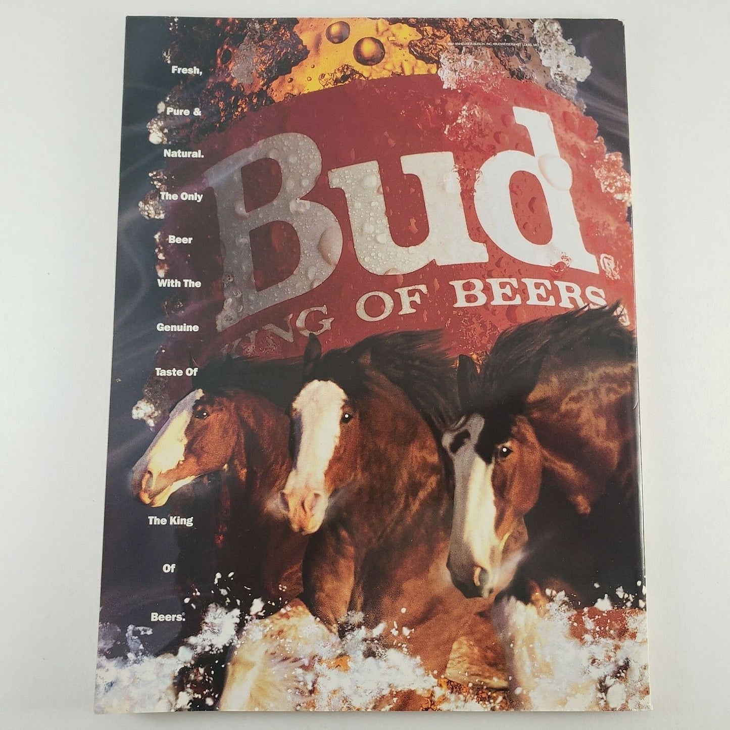 Playboy Magazine Vintage June 1992 Playmate of the Year Ralph Nader Interview