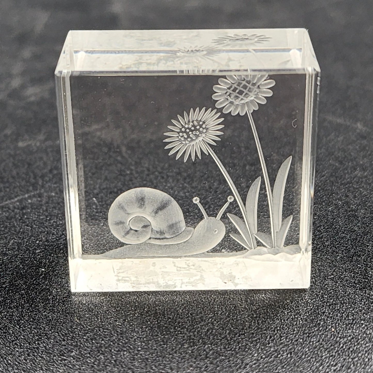 Reverse Etched Glass Paperweight Snail & Flower Design Clear Cube Collectible