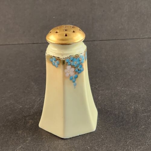 White & Gold Royal Austria Salt & Pepper Shakers Floral Vintage