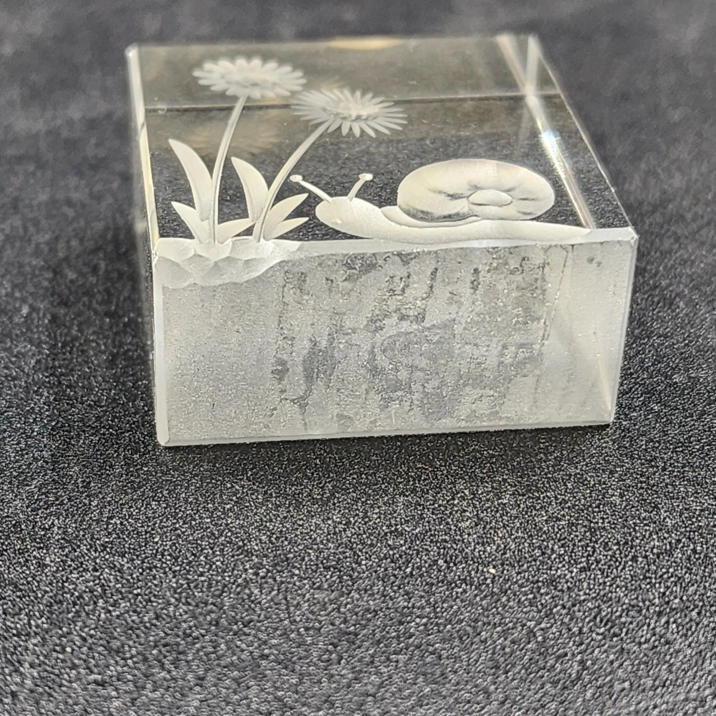 Reverse Etched Glass Paperweight Snail & Flower Design Clear Cube Collectible