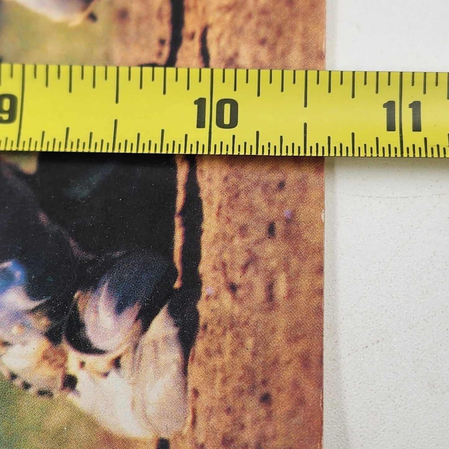 1982 Topps Baseball Sticker Album Empty Never Used Gary Carter Cover Vintage