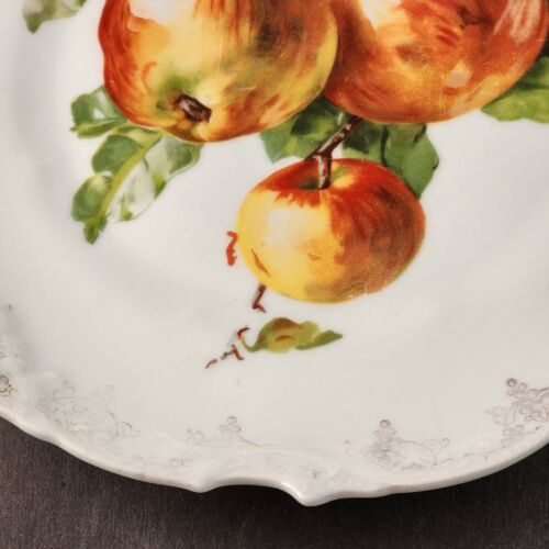 Zs Co Bavarian Porcelain Plate Apples on the Stem Gold Rim 11" Scalloped