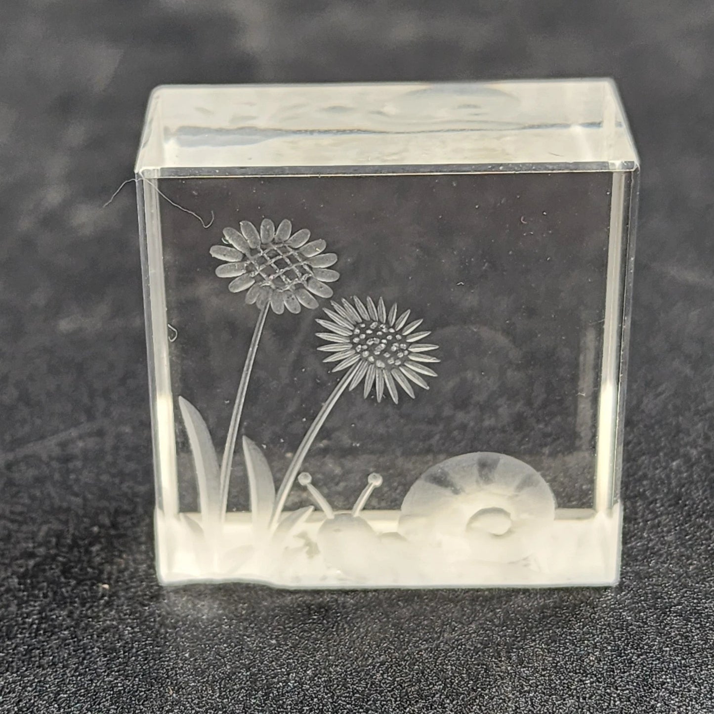 Reverse Etched Glass Paperweight Snail & Flower Design Clear Cube Collectible