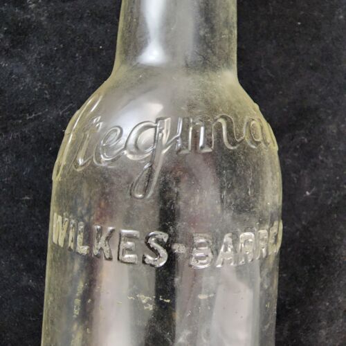 Stegmaier Beer Bottle Clear Glass Classic 1930s from Wilkes-Barre PA Vintage