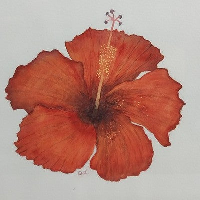 Square Gold Framed Fine Art Print Signed Red Hibiscus Spectacular Flower 19"x19"