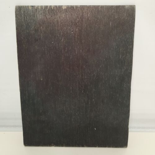 Horse & Rider Wood Inlay Marquetry Wall Art Border Panel Velvet Background 10"w