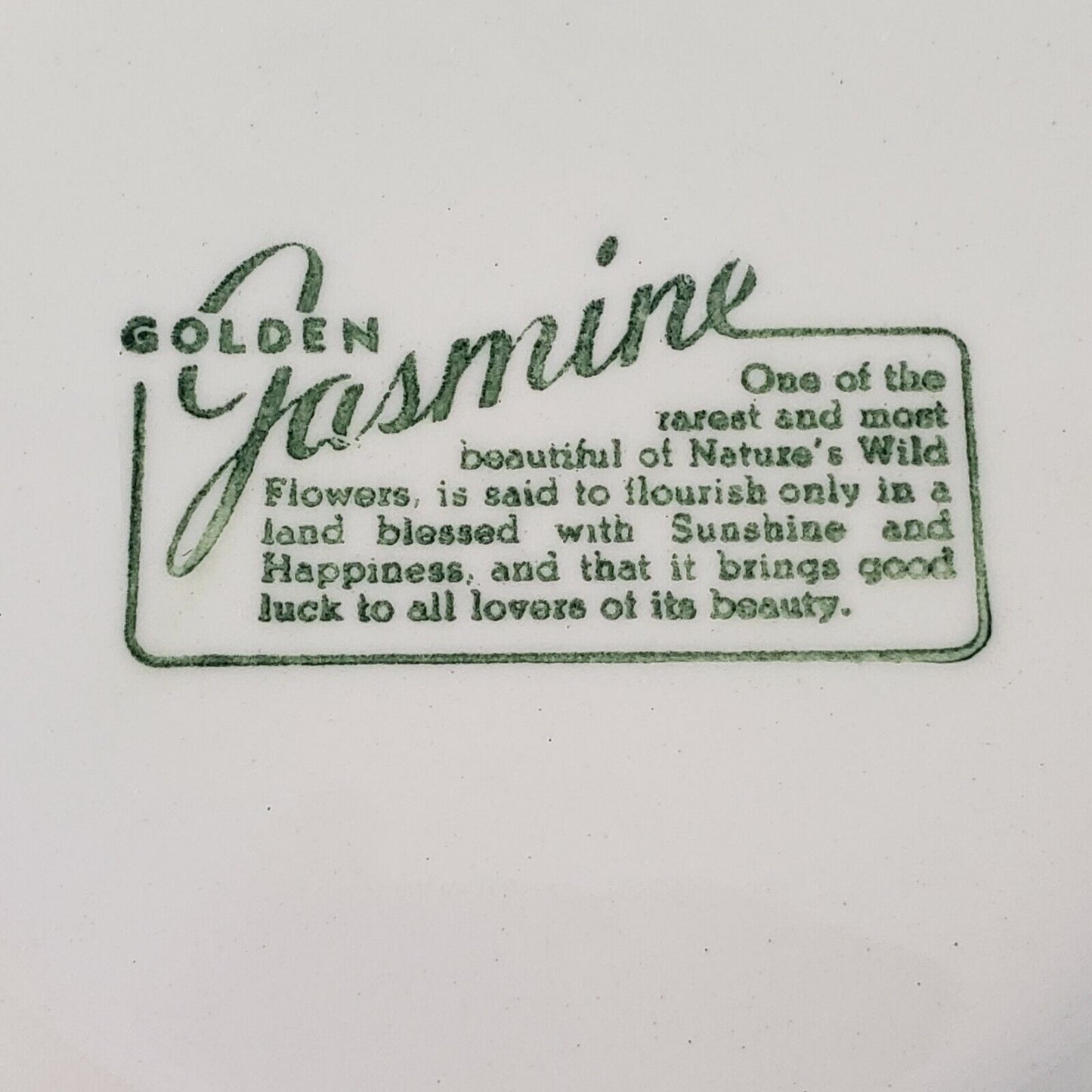 Stetson Golden Jasmine 9" Round Vegetable Bowl 1950s Hand Painted USA