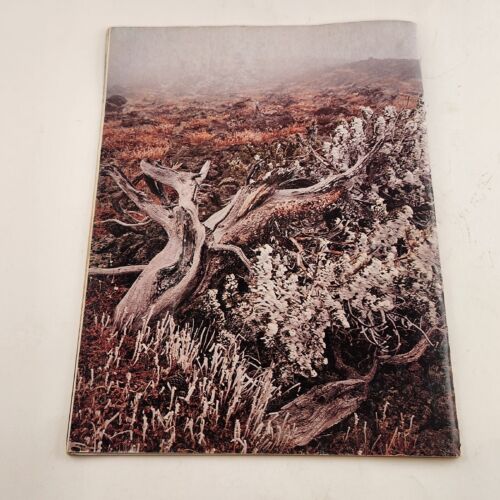 Arizona Highways 1976 March Edition The Moods of Weather Last Cattle Drive