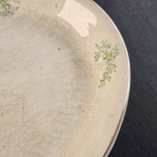 Anchor Pottery Serving Platter Trenton New Jersey JEN Green Floral 14.5" Long