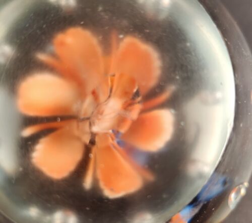 Clear Glass Paperweight Orange Flower with Orange and Blue Butterflies 3" Round