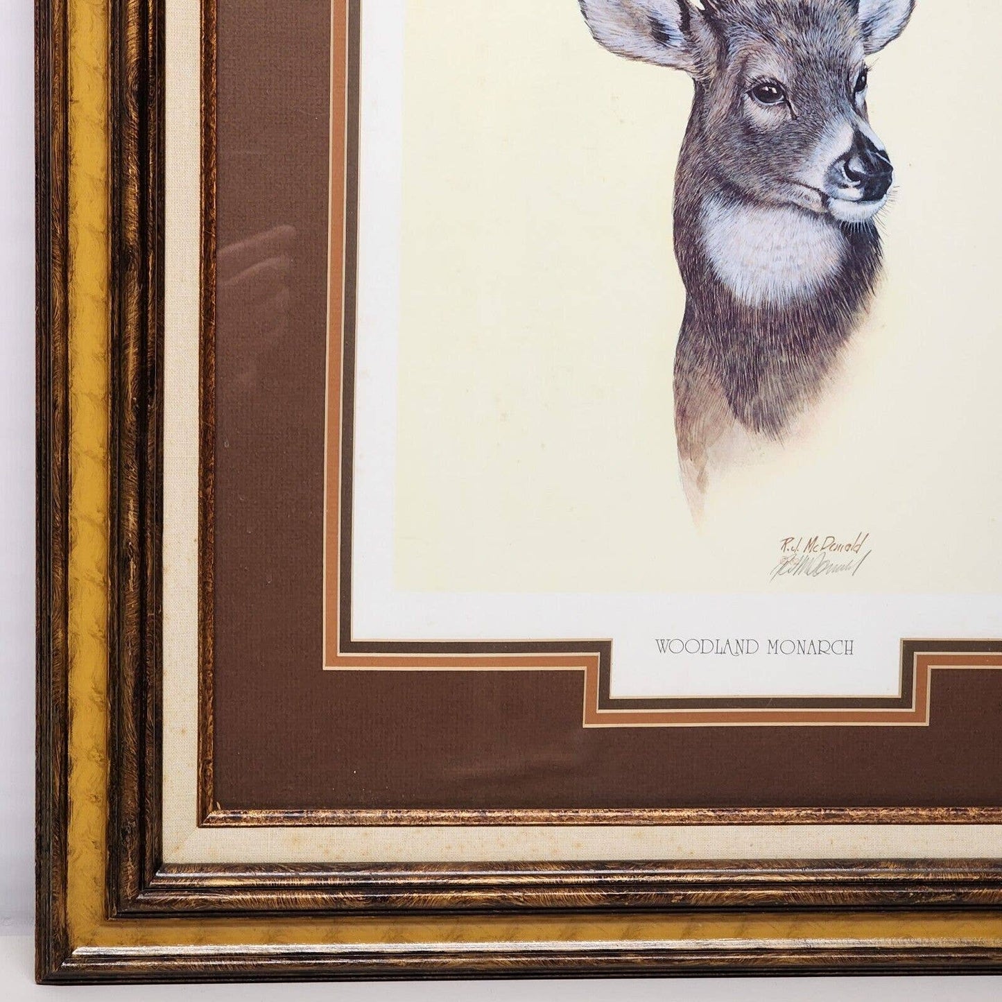 WOODLAND MONARCH by Ralph J McDonald '82 Numbered Signed Print Framed and Matted