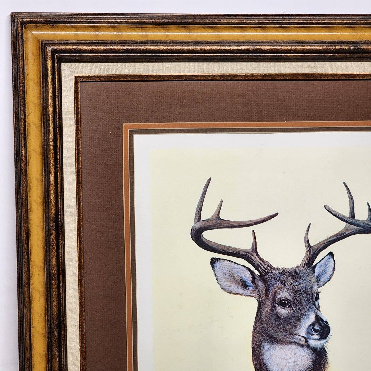 WOODLAND MONARCH by Ralph J McDonald '82 Numbered Signed Print Framed and Matted