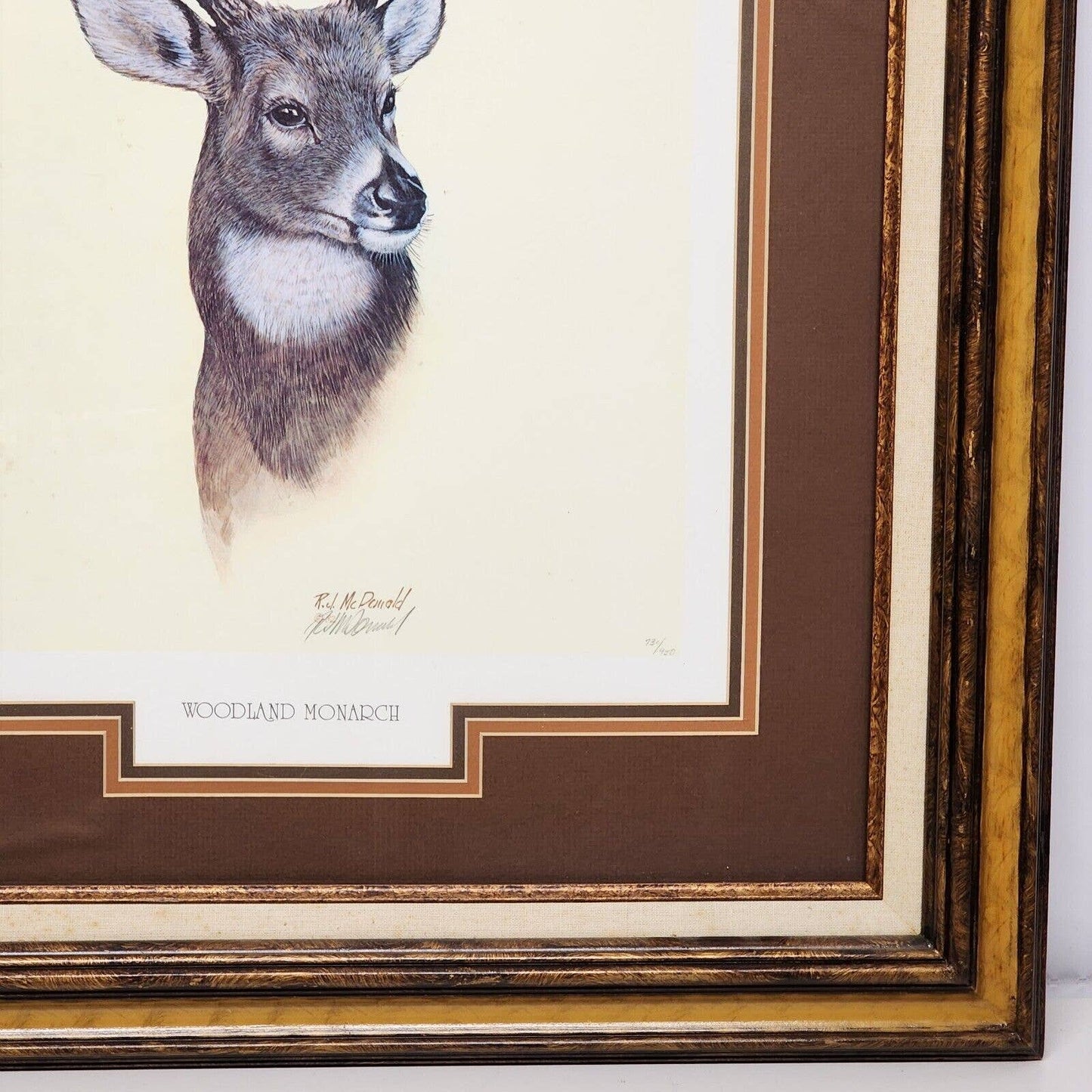 WOODLAND MONARCH by Ralph J McDonald '82 Numbered Signed Print Framed and Matted