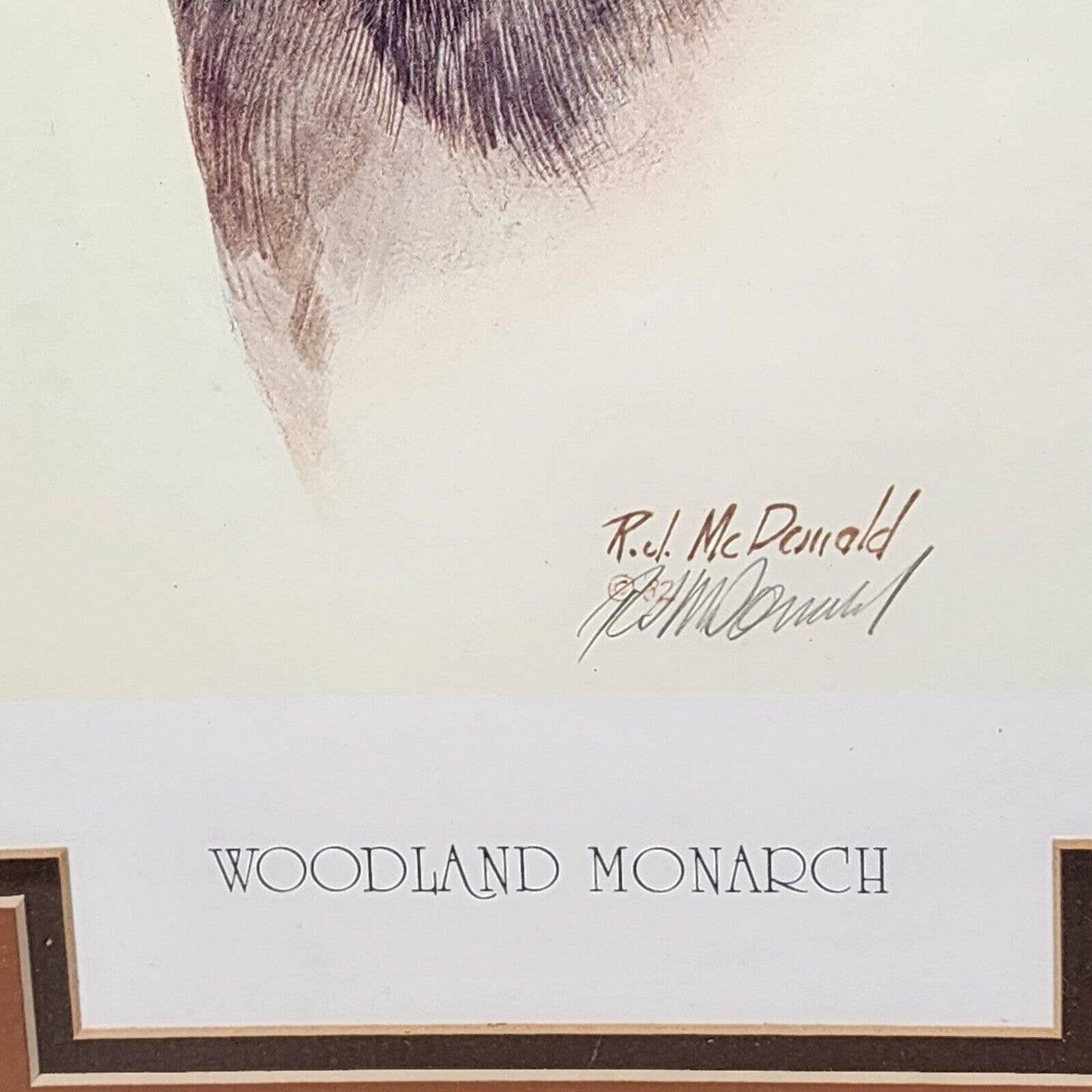 WOODLAND MONARCH by Ralph J McDonald '82 Numbered Signed Print Framed and Matted