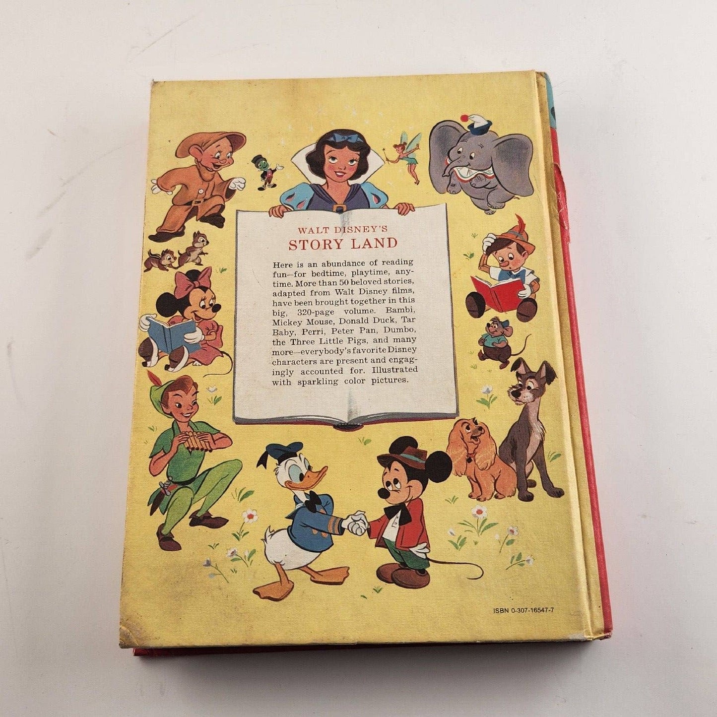 2 Vintage Disney Books DuckTales and Walt Disney's Story Land 55 Stories