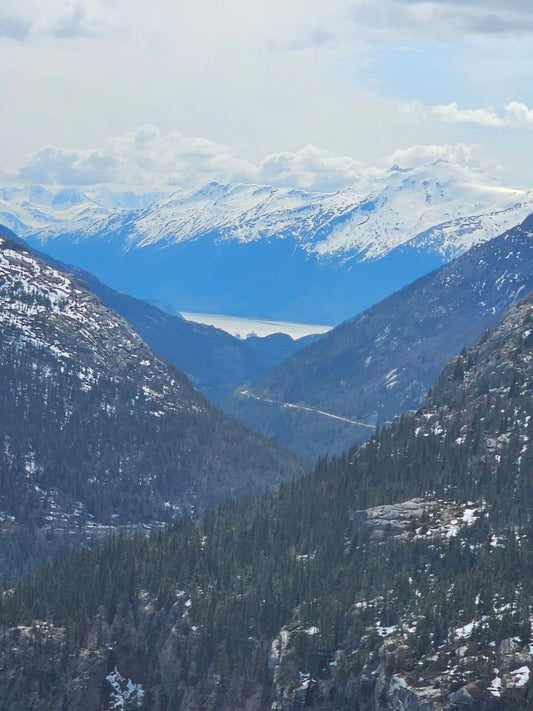 Alaska from the Yukon Express Train, Carnival Luminosa Cruise