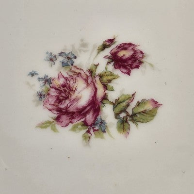 Haviland Limoges France Serving Plate Rose Colorful Flowers Gold Scallop Edge 9"