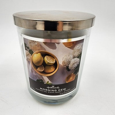 Hallmark Morning Dew 3 Lead Wick Jar Candle 16 oz Scented Soy Based Candle 0335B