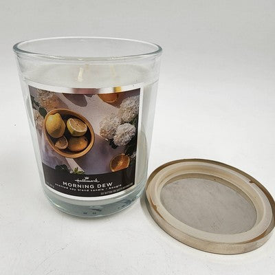 Hallmark Morning Dew 3 Lead Wick Jar Candle 16 oz Scented Soy Based Candle 0335B
