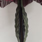 Victorian Bell Shape Fringed Table Lamp Poppy Plant Shape Body 2 Bulbs 30" Tall