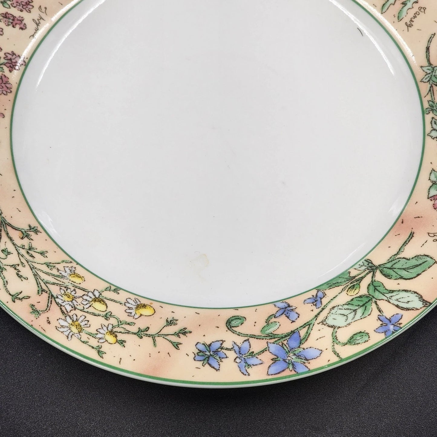 Sakura Sachet Dinner Plates 10.5" Set of 2 Sue Zipkin Herbs Floral 1996 Vintage