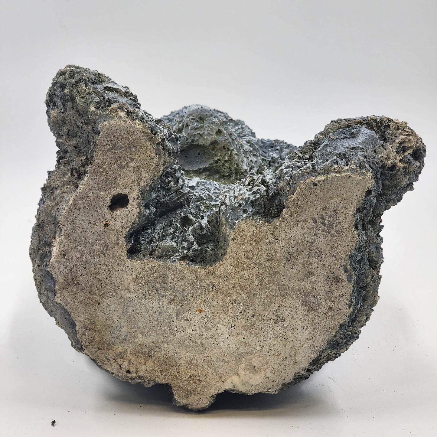Angel Bear Gray Concrete Stone Statue Seated Halo Wings Cross Garden Decoration