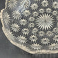 Westmoreland Glass Bowl Star Pattern EAPG Round 9.5" Scalloped Vtg Centerpiece