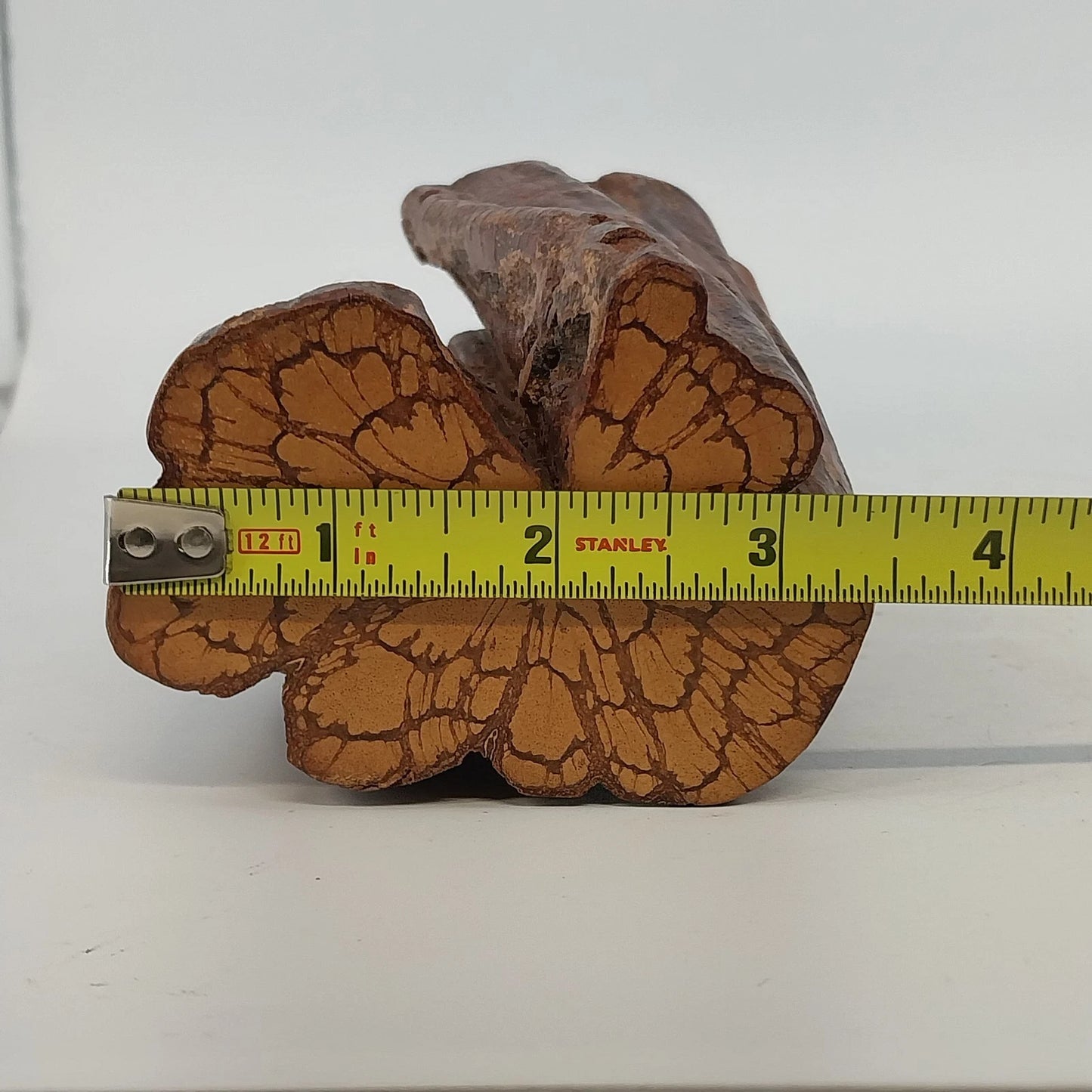 Solid Wooden Stump Rustic Decor Natural Finished Wood 6" Growth Rings Farmhouse