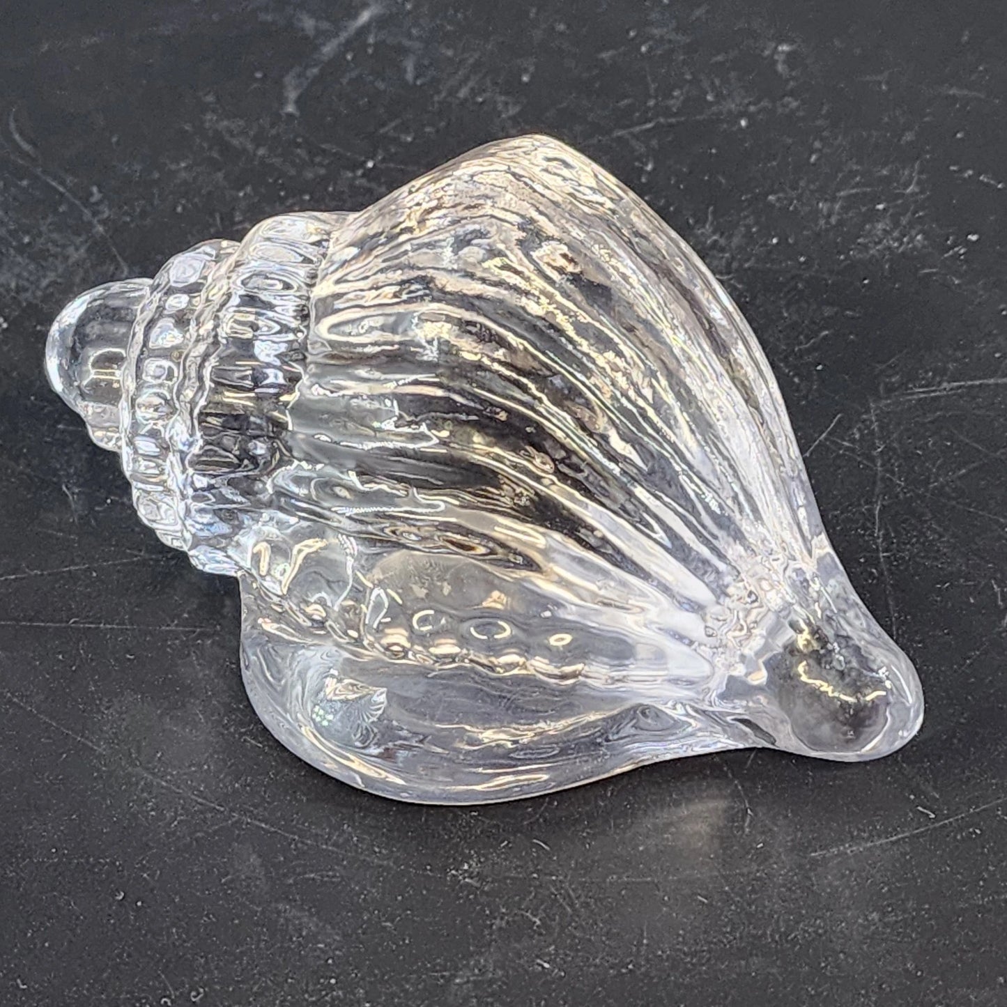 Clear Art Glass Conch Shell Paperweight Hand Blown Nautical Murano Style Decor