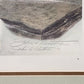 John A. Ruthven SHA-WNEE Signed Limited Edition Framed Lithograph Wildlife Art