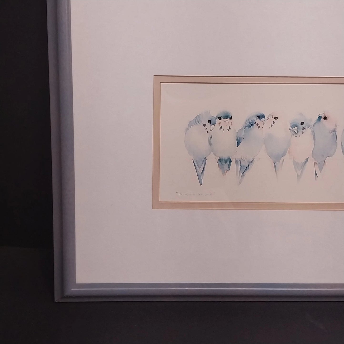 Valerie Pfeiffer Budgies Galore Framed Art Print Bird Watercolor