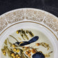 Wittnauer Collectors' Guild Plate LBE90 Scrub Jays Audubon Bone China 8.25" 1820