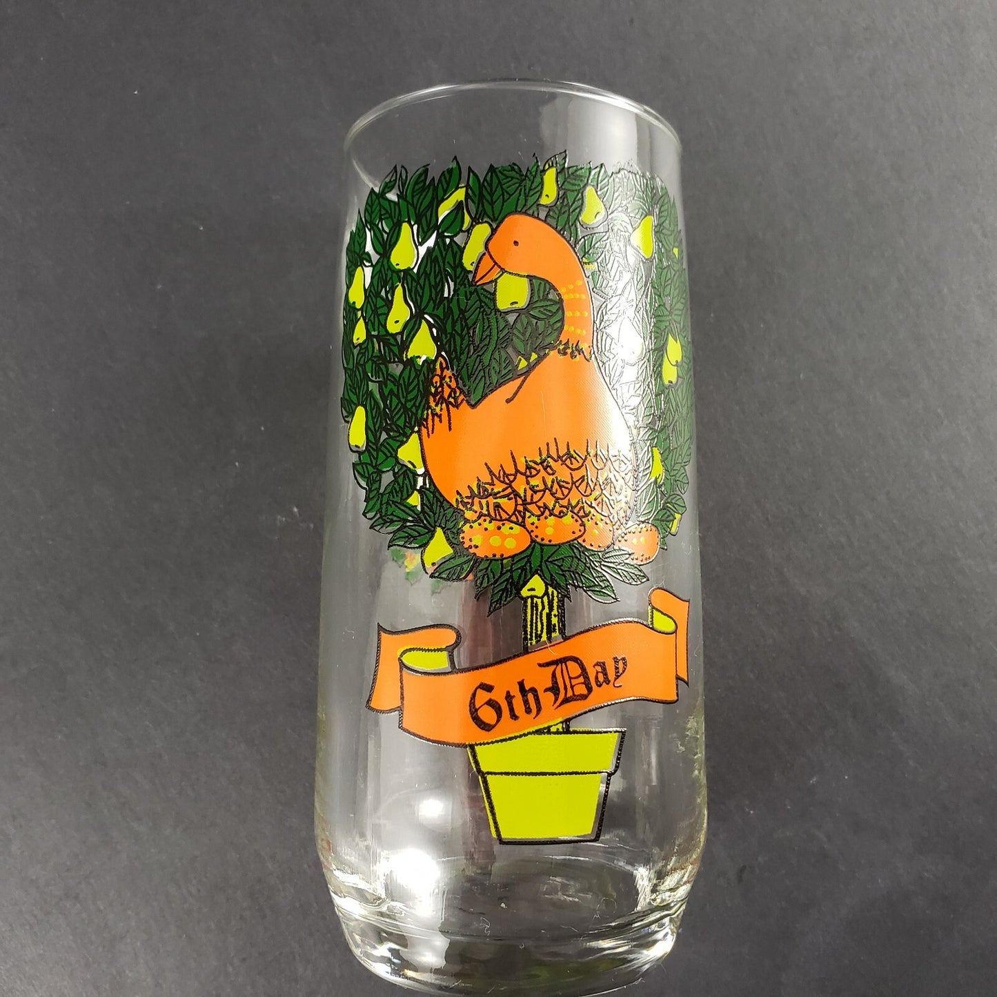 12 Days of Christmas Drinking Glass Tumbler - 6th Day Replacement 16 Ounce Size